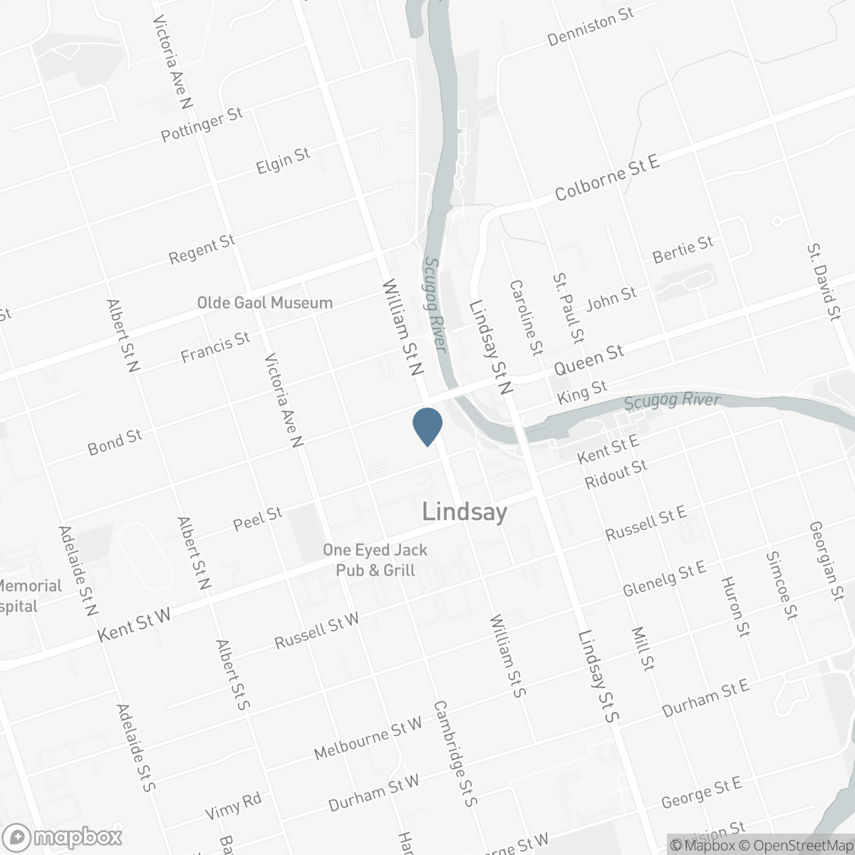 63 WILLIAM STREET N, Lindsay, Ontario K9V 4A3